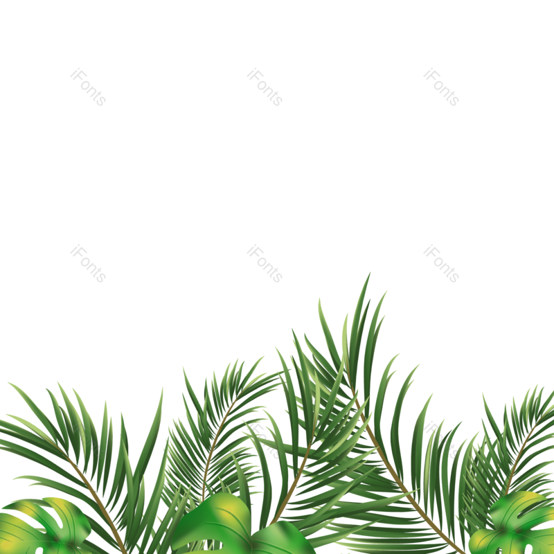 叶子图片,夏天元素,绿叶PNG,花草免抠素材